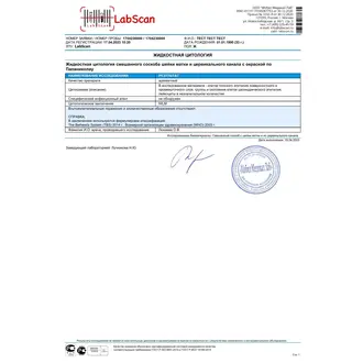 Жидкостная цитология смешанного соскоба шейки матки и цервикального канала с окраской по Папаниколау