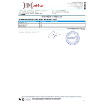 Мутации генов фолатного цикла (MTHFR 677, MTHFR 1298, MTR, MTRR - 4 точки) (с выдачей генетической карты)