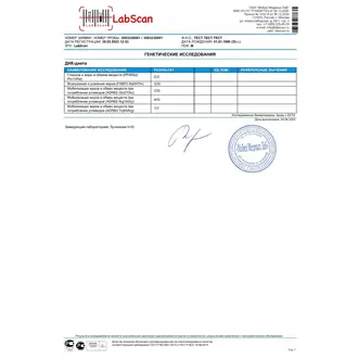 ДНК-диета, бланк 6