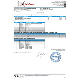 Аллергены пыльцы растений