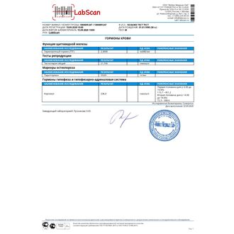 Физическая культура и спорт расширенный