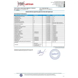 Колонофлор-16 (биоценоз)