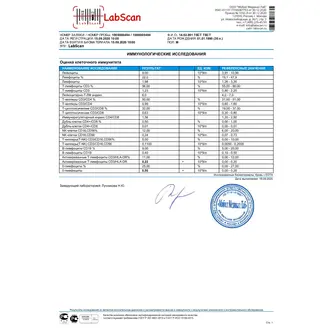 Иммунограмма (CD-типирование лимфоцитов периферической крови, общий анализ крови), бланк 2