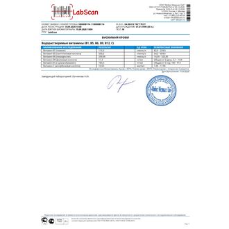 Водорастворимые витамины (B1, B5, B6, В9, В12, С)