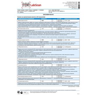 Анализ на органические кислоты (23 показателя) (ГХ-МС), бланк 3