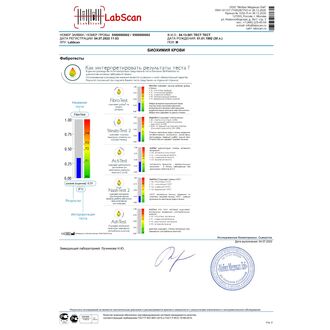 ФиброМакс, бланк 2