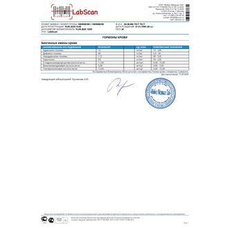 Биогенные амины: адреналин, норадреналин, дофамин, серотонин - в крови и их метаболиты в моче (ванилилминдальная кислота, гомованилиновая кислота, 5-гидроксииндолуксусная кислота)