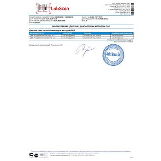 ДНК папилломавирусов (Human Papillomavirus, ВПЧ) 6/11 типов с определением типа, количественно, Тип результата: Количественно