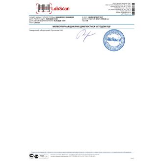 ДНК папилломавирусов (Human Papillomavirus), типирование с определением 21 типа (Контроль взятия биоматериала, типы 6, 11, 16, 18, 26, 31, 33, 35, 39, 44, 45, 51, 52, 53, 56, 58, 59, 66, 68, 73, 82), количественный, с пересчетом на у.е. Hybrid Capture по, бланк 2