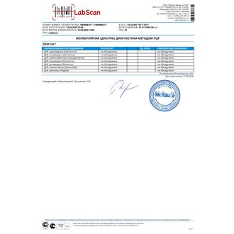 ОКИ-тест(Salmonella / Shigella / Campylobacter / Adenovirus / Rotavirus A, C / Norovirus 1, 2 / Astrovirus)