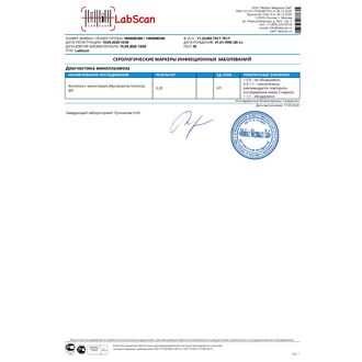 Антитела к микоплазме (Mycoplasma hominis), IgG