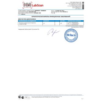 Антитела к уреаплазме (Ureaplasma urealyticum), IgА