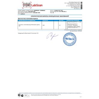 Антитела к хеликобактеру (Helicobacter pylori), IgМ