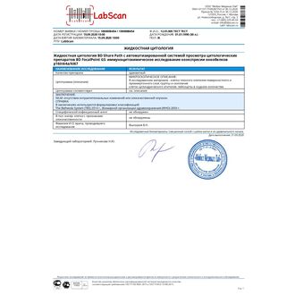 Жидкостная цитология BD Shure Path с автоматизированной системой просмотра цитологических препаратов BD FocalPoint GS: иммуноцитохимическое исследование коэкспрессии онкобелков p16ink4a/ki67