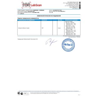 Иммуноглобулин G (IgG)