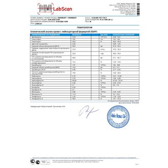 Иммунограмма CD4, CD8 (включает общий анализ крови, Т-лимфоциты CD3, лейкоцитарно-Т-ЛФ индекс, Дубль-клетки CD4+/CD8)