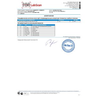 Грибы рода кандида (Candida albicans), IgE