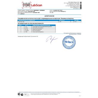 Горчица, IgG4