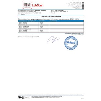 Генетические факторы риска развития рака молочной железы и рака яичников (BRCA1, BRCA2) (8 точек)