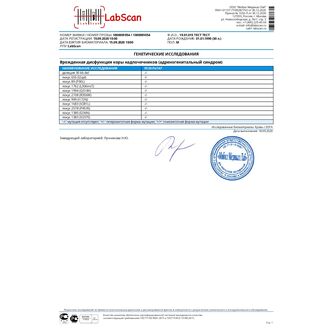 Комплексное генетическое обследование на врожденную гиперплазию надпочечников (15 мутаций)