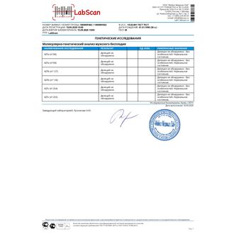 Исследование фактора репродуктивности AZF (локусы A, B, C)