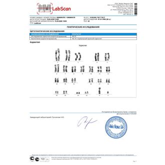 Исследование кариотипа (кариотипирование)