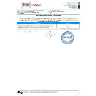 Посев на гемофильную палочку (Наemophilus influenzae) с идентификацией микроорганизмов методом времяпролетной МАСС-спектрометрии (MALDI-TOF) с определением чувствительности к основному спектру антибиотиков, Определение чувствительности к антибиотикам: Основной спектр