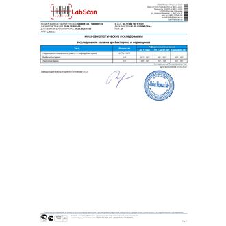 Нормоценоз кишечника (лакто- и бифидобактерии)