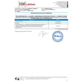 Посев на анаэробную и факультативно-анаэробную и аэробную флору с идентификацией микроорганизмов методом времяпролетной МАСС-спектрометрии (MALDI-TOF) и определением чувствительности к основному спектру антибиотиков, Определение чувствительности к антибиотикам: Основной спектр, Чувствительность к бактериофагам: Без определения