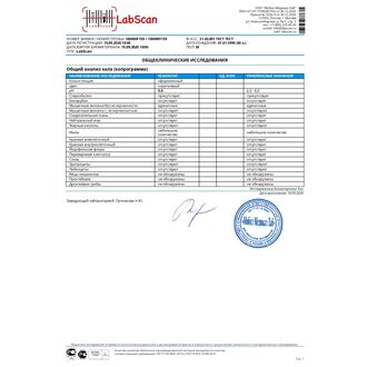 Общий анализ кала (копрограмма)