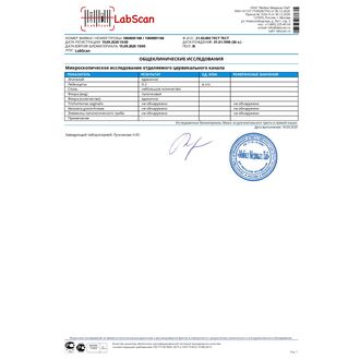 Микроскопическое исследование отделяемого цервикального канала