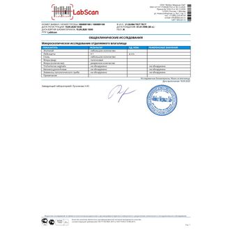 Микроскопическое исследование отделяемого влагалища