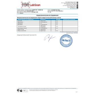 Микроскопическое исследование секрета предстательной железы в моче