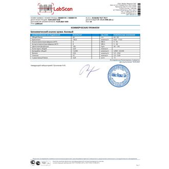 Биохимический анализ крови, базовый